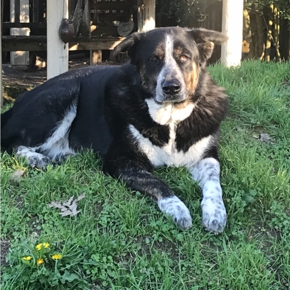 MAKE ME AN OFFER, ALL REASONABLE OFFERS ACCEPTED - Picture 2 of 6